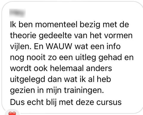 Screenshot van een bericht van een cursist